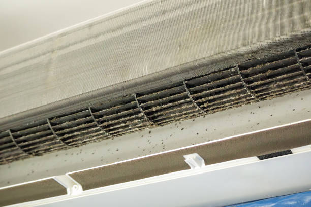 Best Local Air Duct Cleaning Services  in Heber, UT